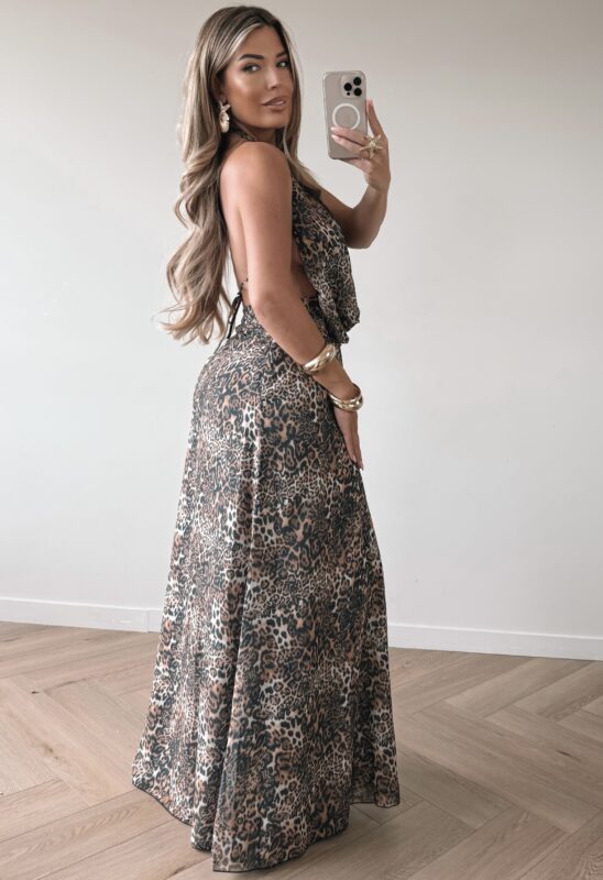 Sunset Long Dress - leopard