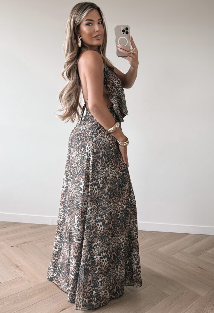 Sunset Long Dress - leopard
